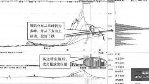 体育品牌电竞联名款新品发布，热销全渠道
